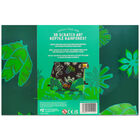 3D Scratch Art Rainforest Scene image number 2