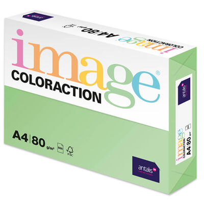 A4 Pale Green Forest Image Coloraction Copy Paper: 500 Sheets image number 1