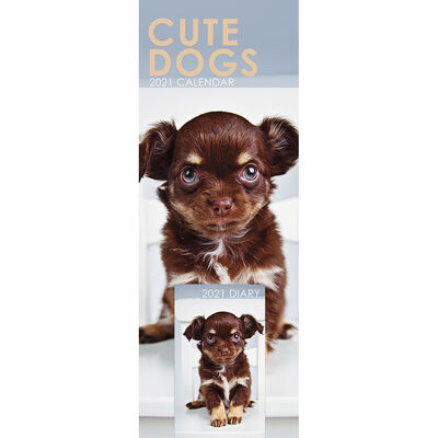 Cute Dogs 2021 Slim Calendar and Diary Set image number 1