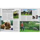 How To Train A Superdog image number 2