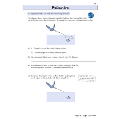 KS3 Science: Year 8 Targeted Workbook image number 3