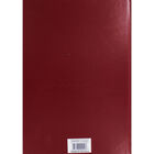 A4 Red Gold 2020 Day a Page Diary image number 3