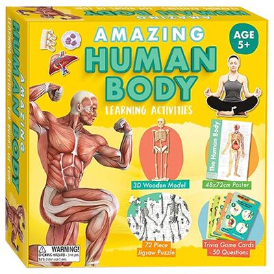 Amazing Human Body Activity Set image number 1