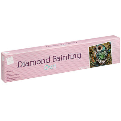 Diamond Painting: Owl image number 1