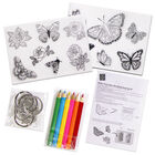 Make Your Own Shrinking Keyring Kit: Butterfly image number 2