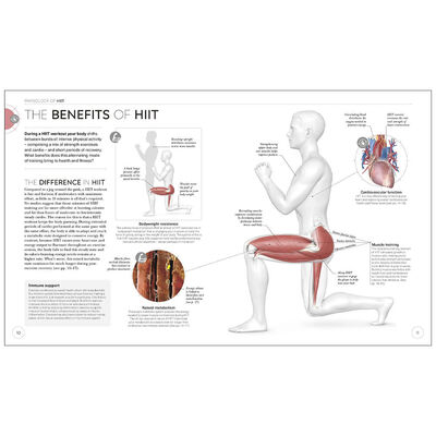 Science of HIIT image number 4