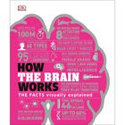 How The Brain Works image number 1