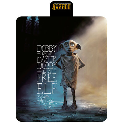 Harry Potter Dobby Picnic Blanket image number 1