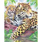 Colour By Numbers Kit: Jaguar image number 2