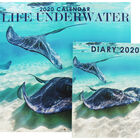 Life Underwater 2020 Calendar and Diary Set image number 1