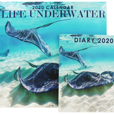Life Underwater 2020 Calendar and Diary Set image number 1