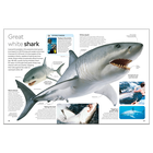 Shark: DK Eyewitness image number 2