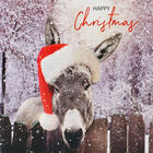 Donkey Christmas Cards: Pack Of 10 image number 2