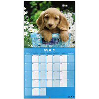 Cute Dogs 2022 Square Calendar and Diary Set