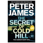 The Secret of Cold Hill image number 1