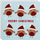 Cute Robin Christmas Cards - Pack Of 10 image number 1