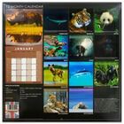 Endangered Species 2022 Square Calendar and Diary Set image number 4