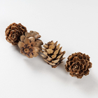 Pinecones Embellishments: Pack of 30 image number 2