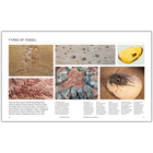 BBC Walking With Dinosaurs image number 2