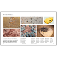 BBC Walking With Dinosaurs