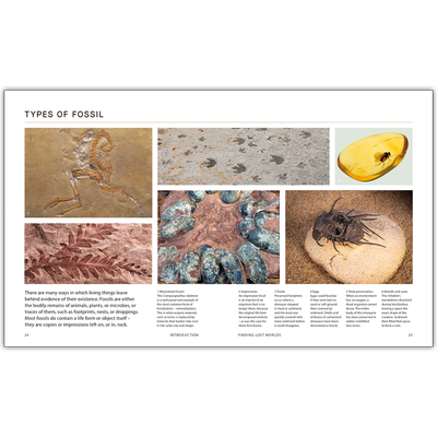 BBC Walking With Dinosaurs image number 2