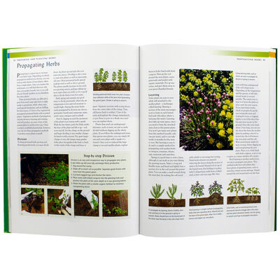 Encyclopedia Of Herb Gardening image number 2