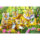 Family of Tigers 500 Piece Jigsaw Puzzle image number 4
