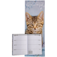 Cute Kittens Slim Calendar and A6 Diary Set 2027