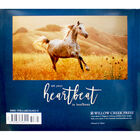 Horselife image number 3