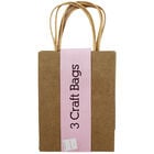 Brown Craft Gift Bags: Pack of 3 image number 1