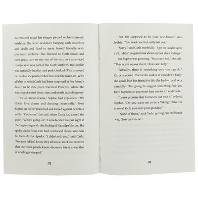 The Secret Viking Adventure image number 2