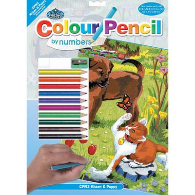 Colour By Numbers Kit: Kitten and Puppy image number 1