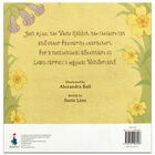 Alice in Wonderland image number 3