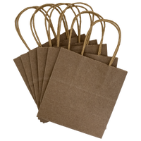 Small Gift Bags: Pack of 6