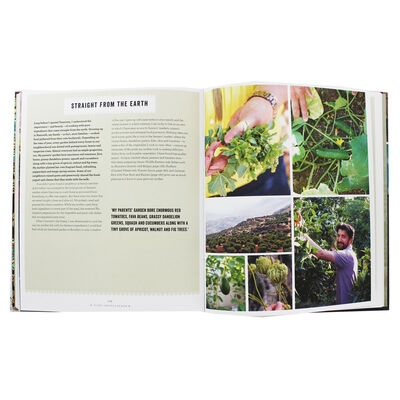 Olives, Lemons & Za-Atar image number 2