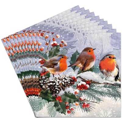 Premium Robin Family Christmas Cards: Pack of 10 image number 2