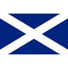 Scotland Giant Flag - 3x2ft image number 2