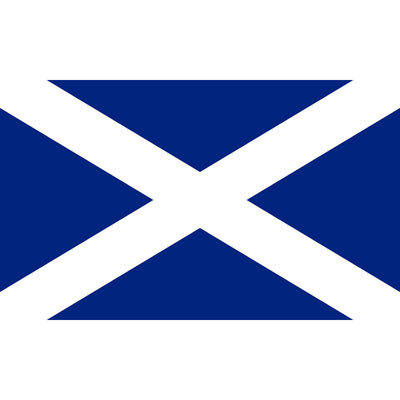 Scotland Giant Flag - 3x2ft image number 2