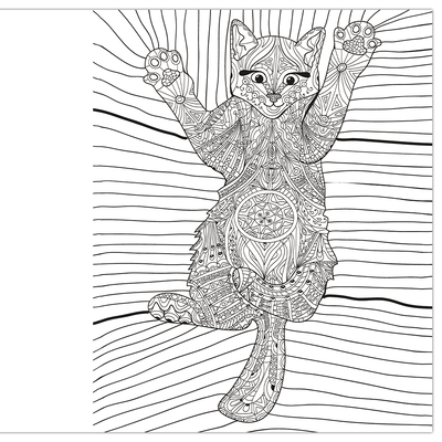 Cute Kittens Colouring Book image number 3