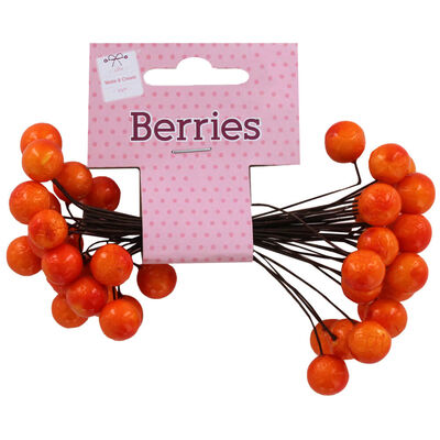 Autumn Orange Berry image number 1