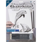 Dolphins Sketching Made Easy Set image number 1