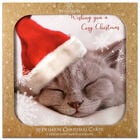 Premium Cosy Cat Christmas Cards: Pack of 10 image number 1