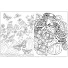 Inspirational Colouring: Butterflies and Birds image number 2