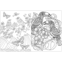 Inspirational Colouring: Butterflies and Birds