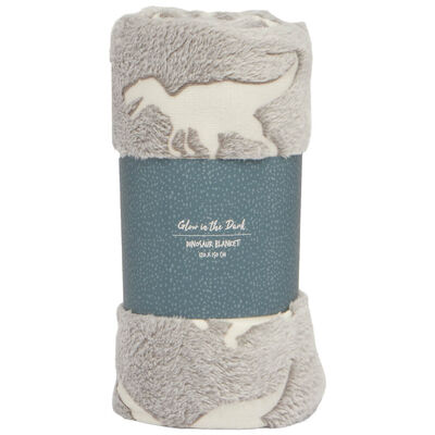 Glow In The Dark Blanket: Dinosaur image number 1