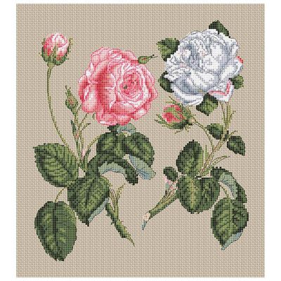 Floragenius Counted Cross Stitch Kit: Pink Centifolia & White Roses image number 2