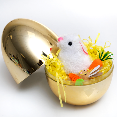 Fillable Golden Egg image number 2