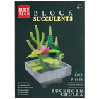Blocks Succulents: Buckhorn Cholla image number 1