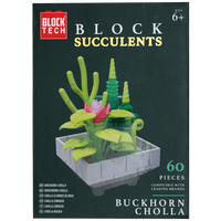 Blocks Succulents: Buckhorn Cholla