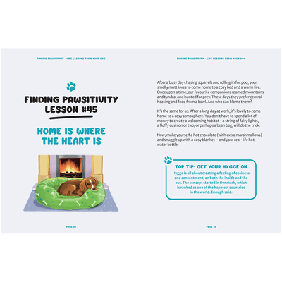 Finding Pawsitivity image number 3